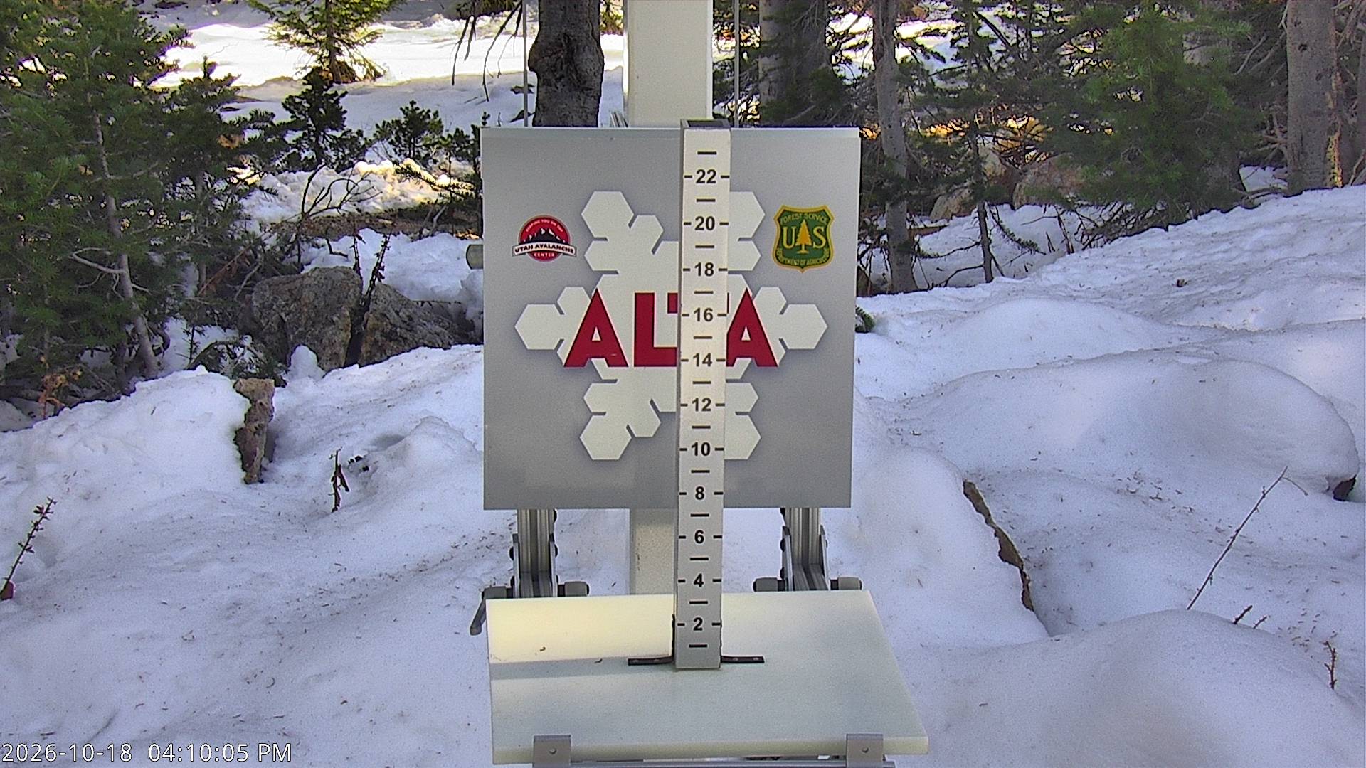 Alta snow stake