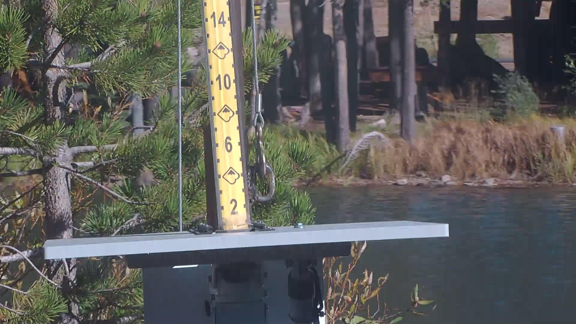 Boreal snow stake