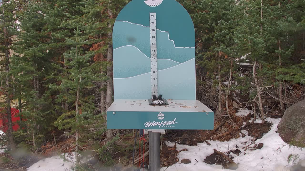 Brian Head snow stake
