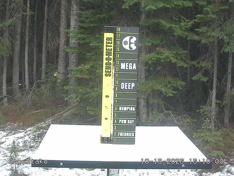 Copper snow stake