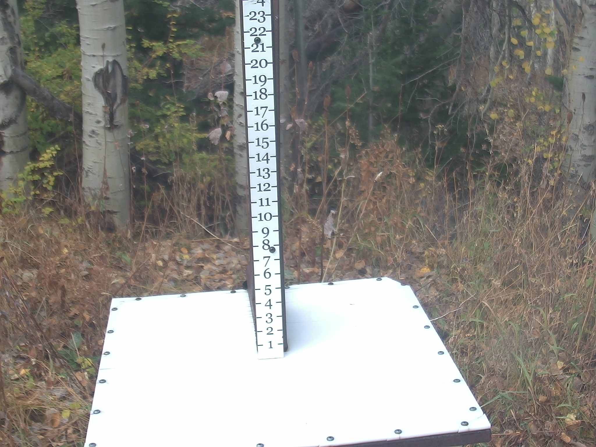 Park City snow stake