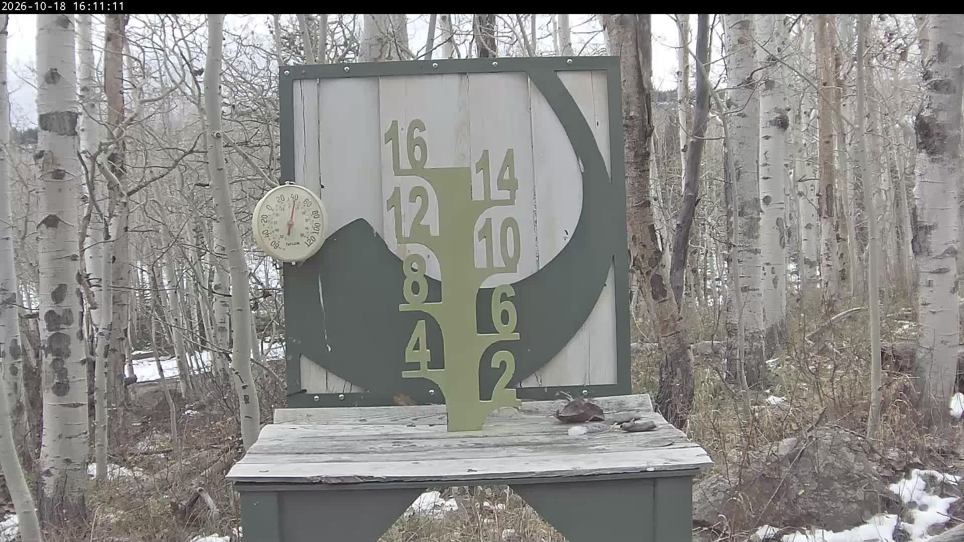 Powderhorn snow stake