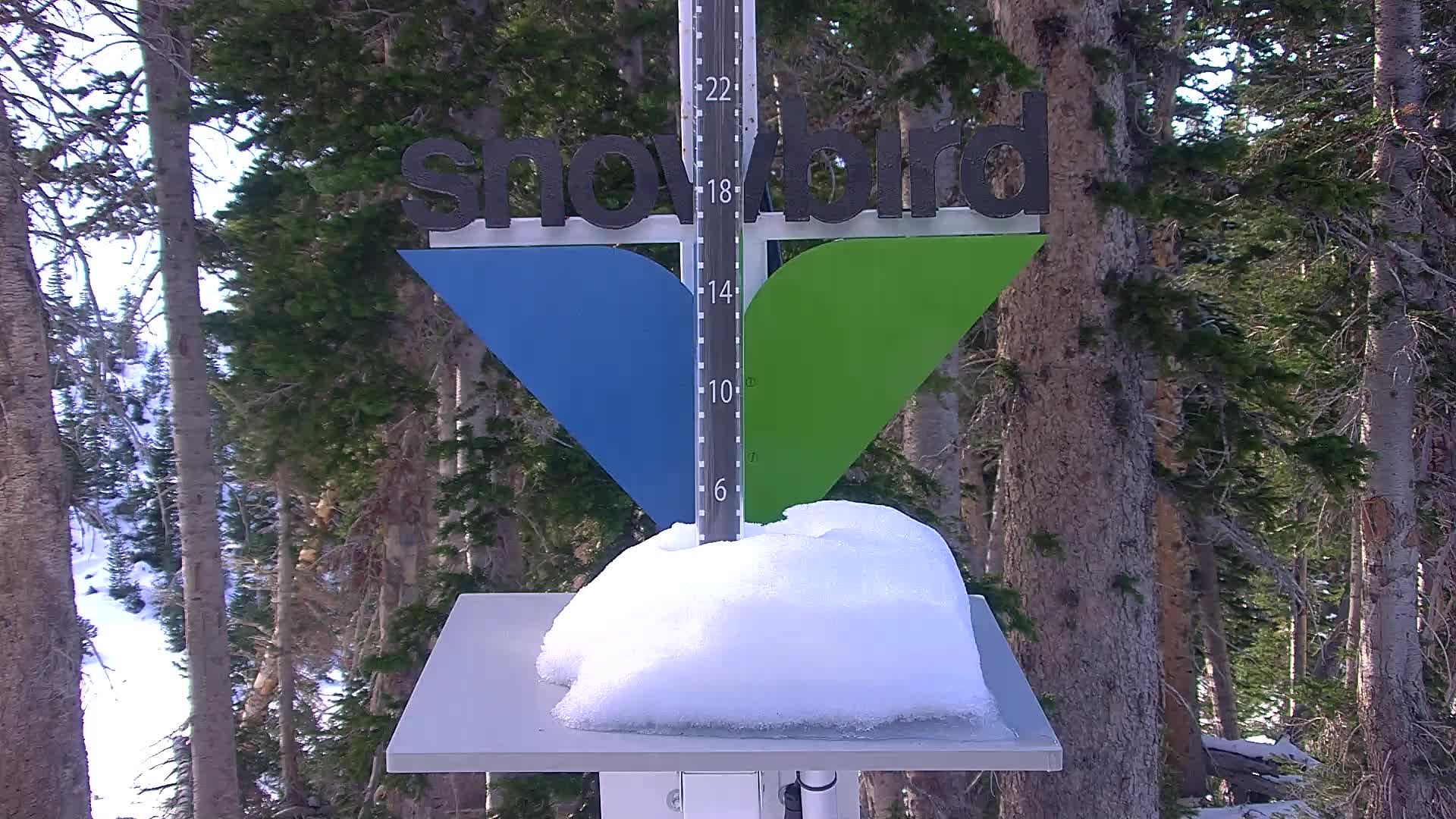 Snowbird snow stake