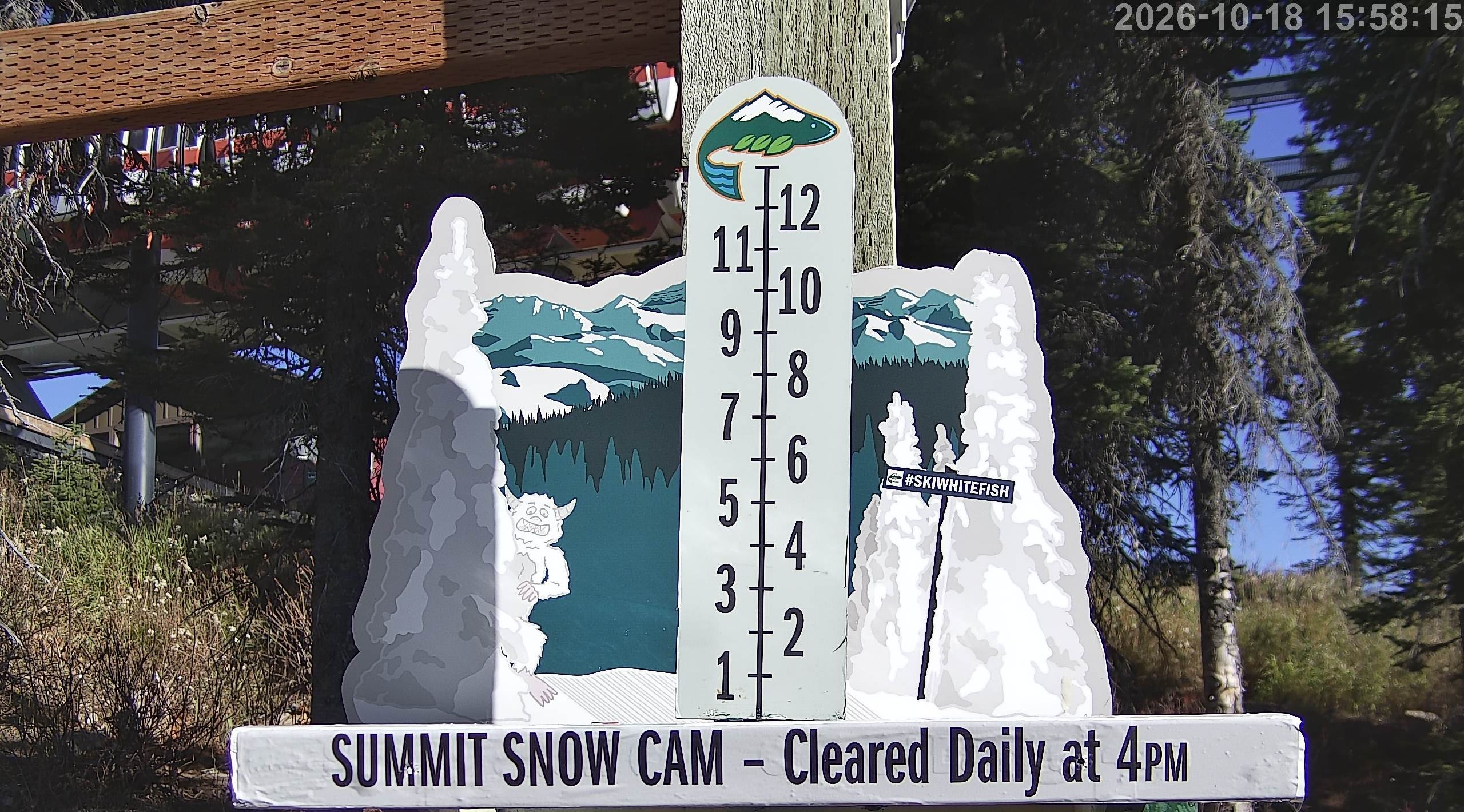 Whitefish snow stake