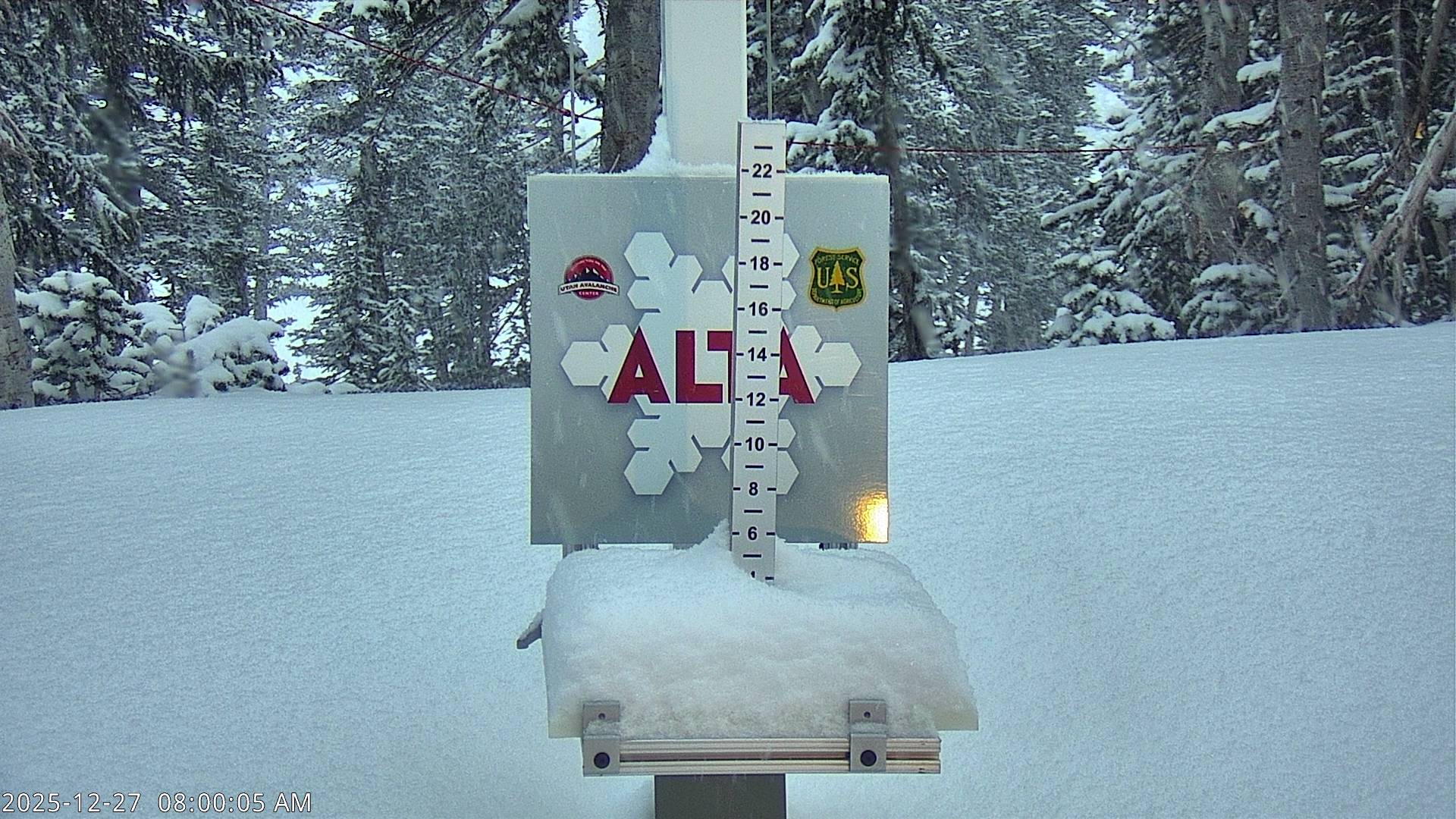 Alta snow stake, measured 7.0 inches