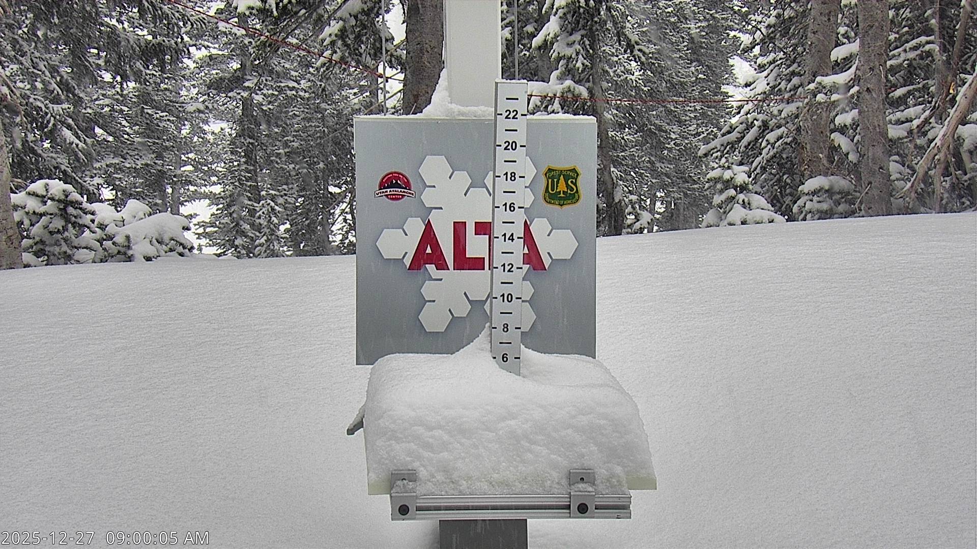 Alta snow stake, measured 11.0 inches