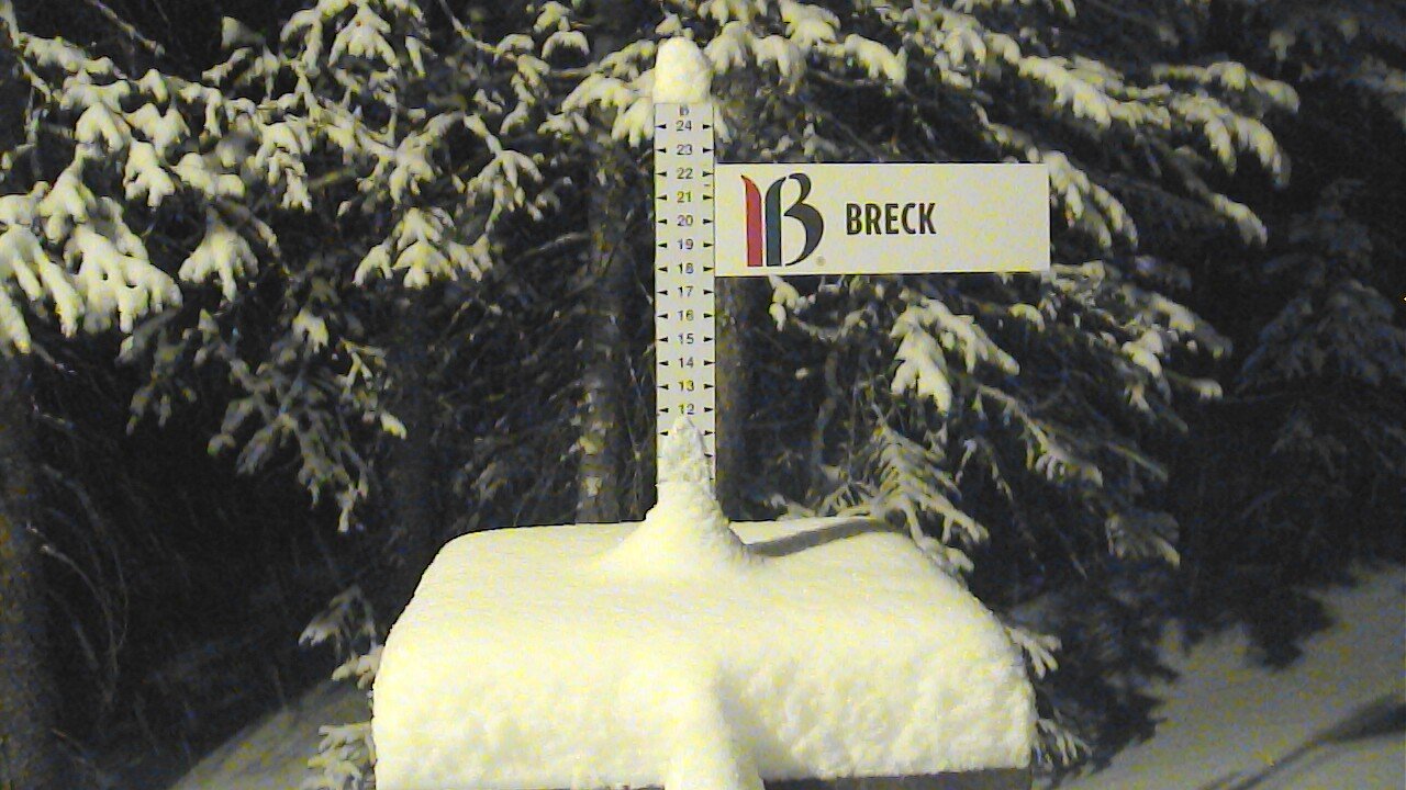 Breckenridge snow stake, measured 12.0 inches