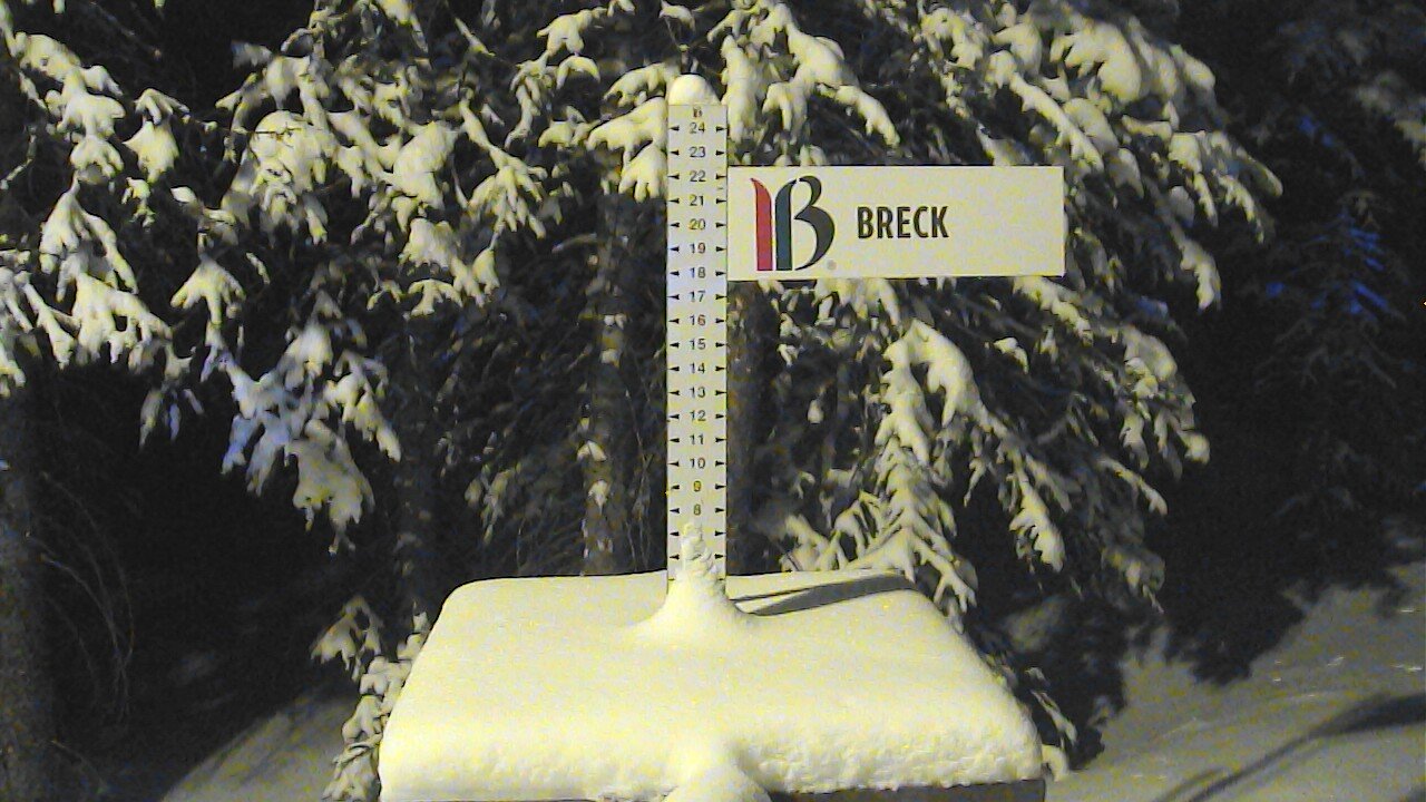 Breckenridge snow stake, measured 8.0 inches