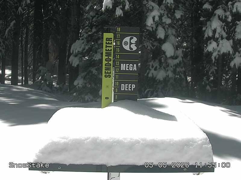 Copper snow stake, measured 8.0 inches