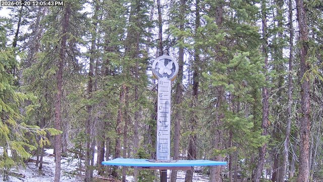 Monarch snow stake, measured 0.0 inches