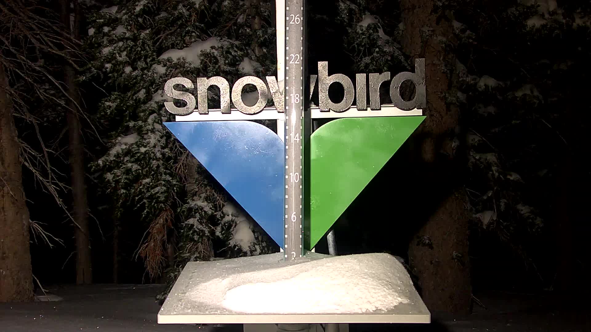Snowbird snow stake, measured 4.0 inches