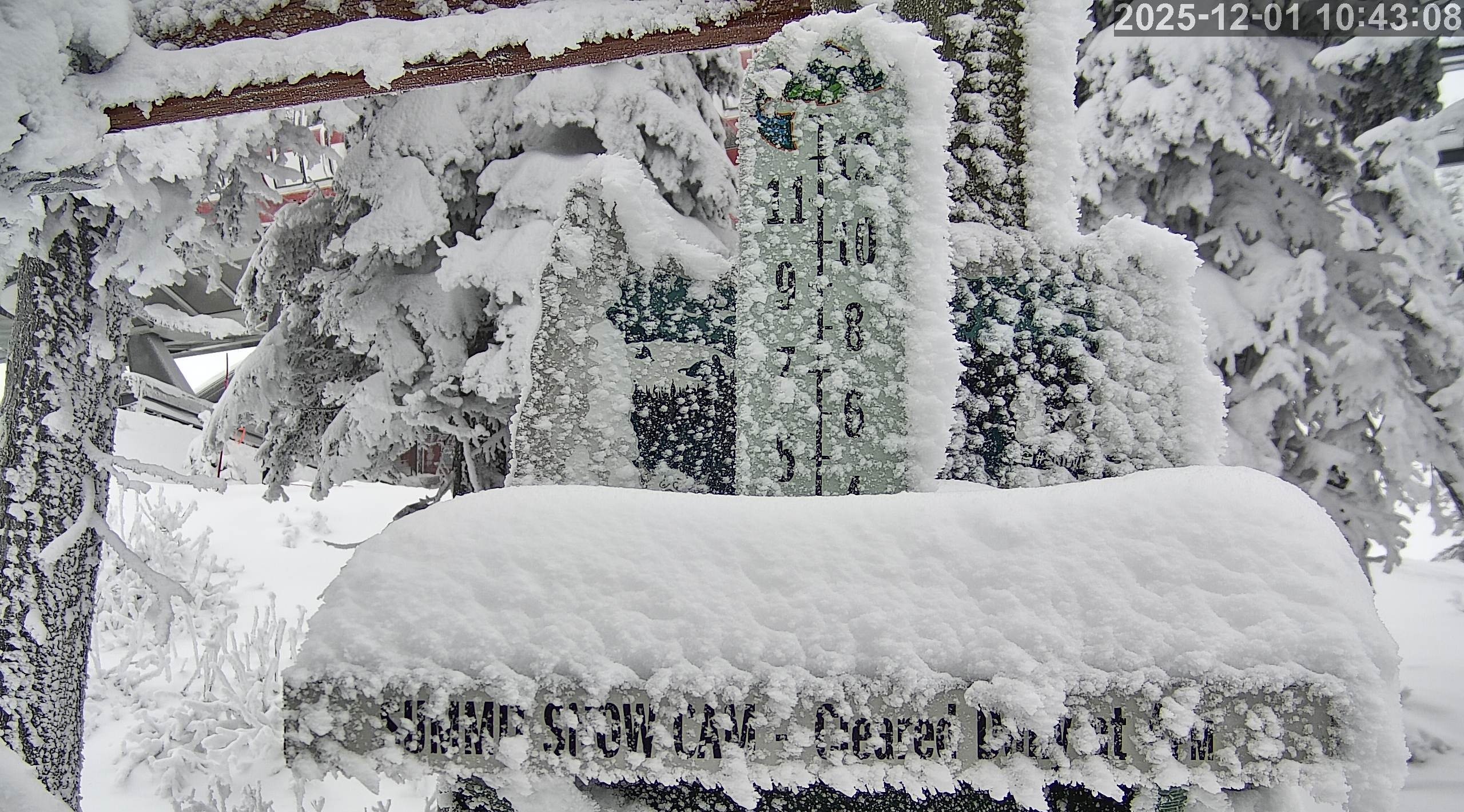 Whitefish snow stake, measured 6.0 inches
