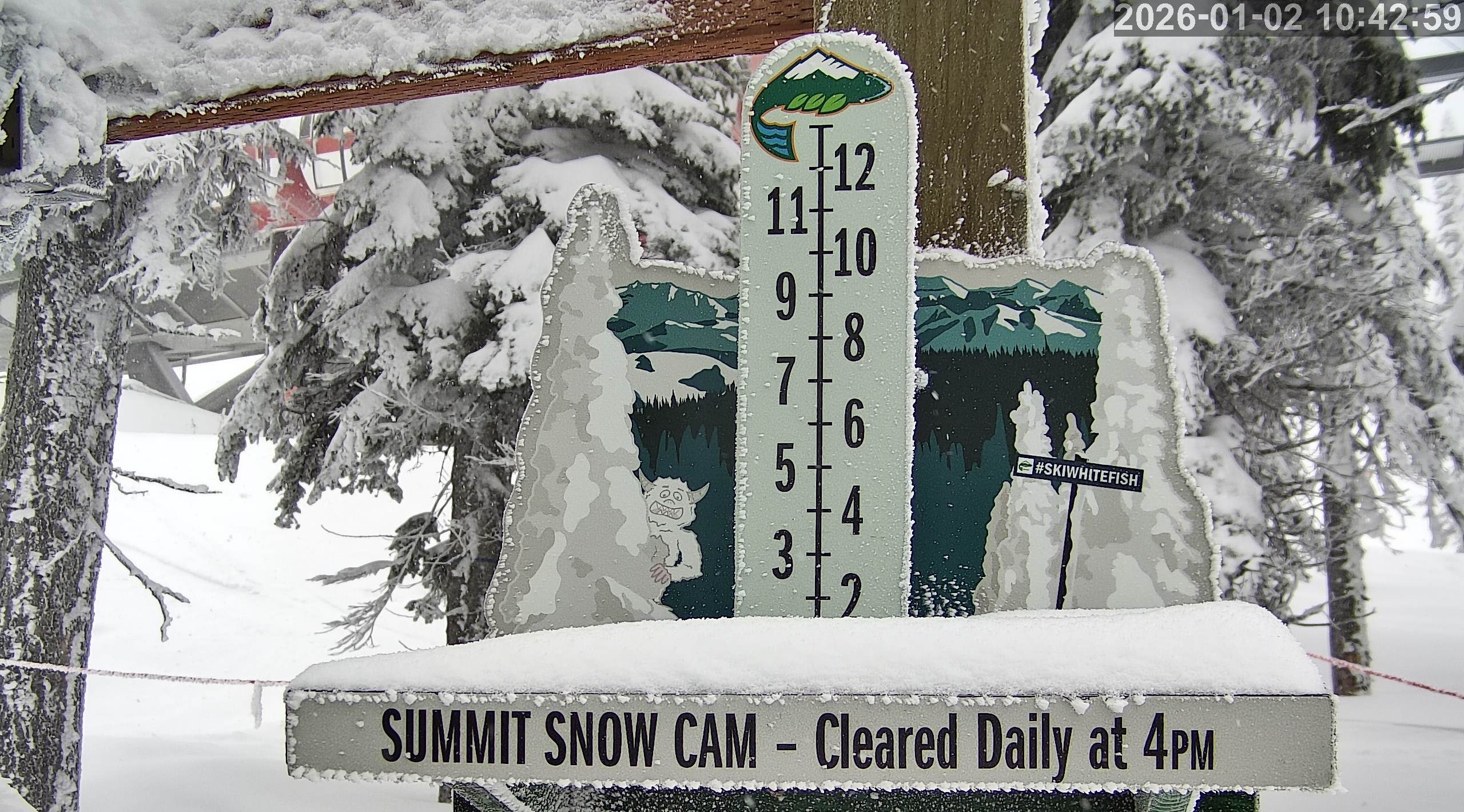 Whitefish snow stake, measured 2.0 inches