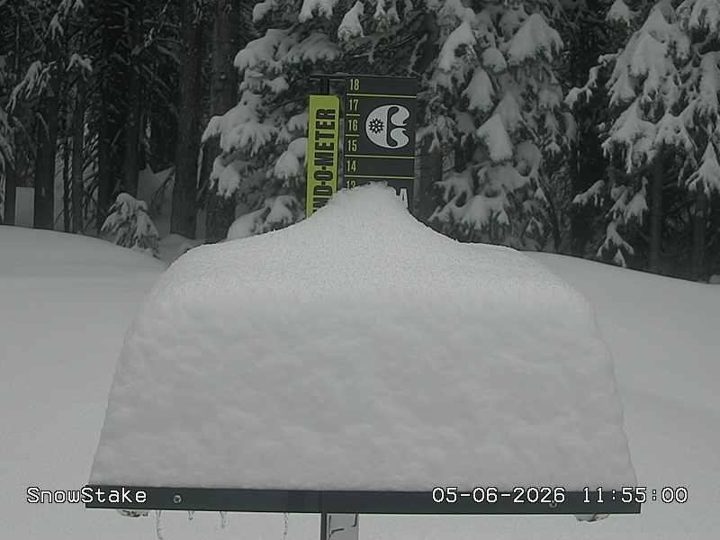 Copper snow stake during the storm